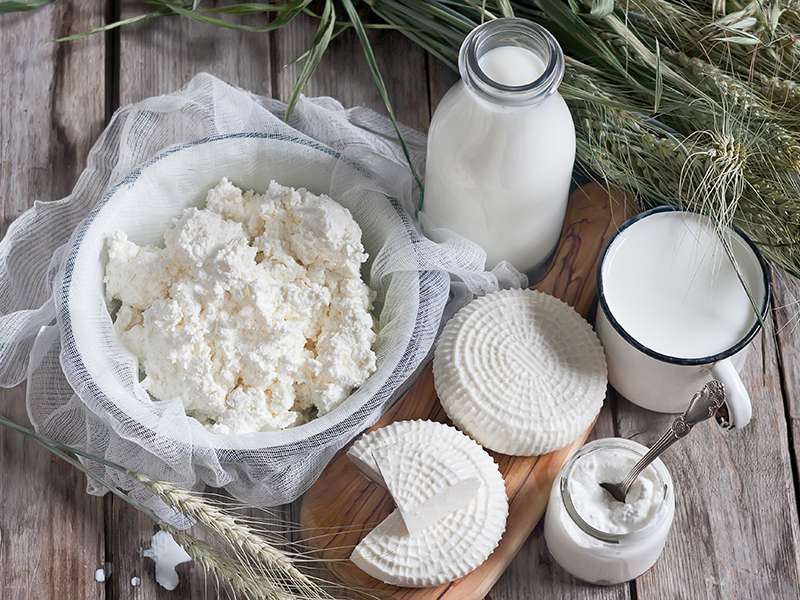 Оборудование для хранения молочки