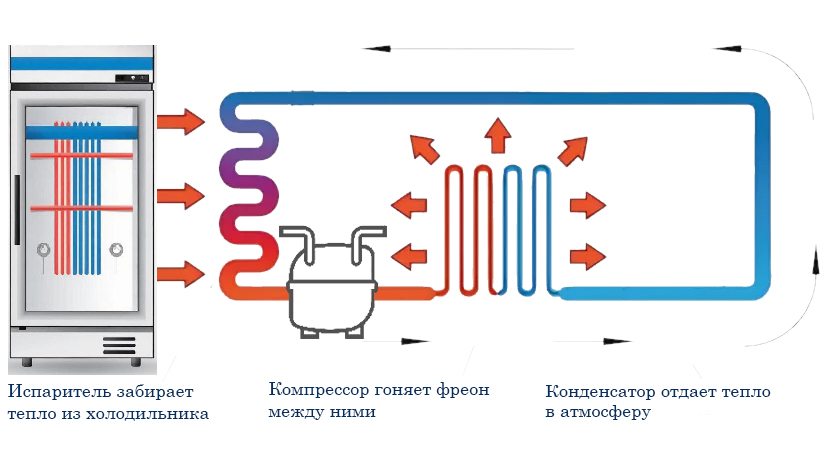 работа холодильника.jpg